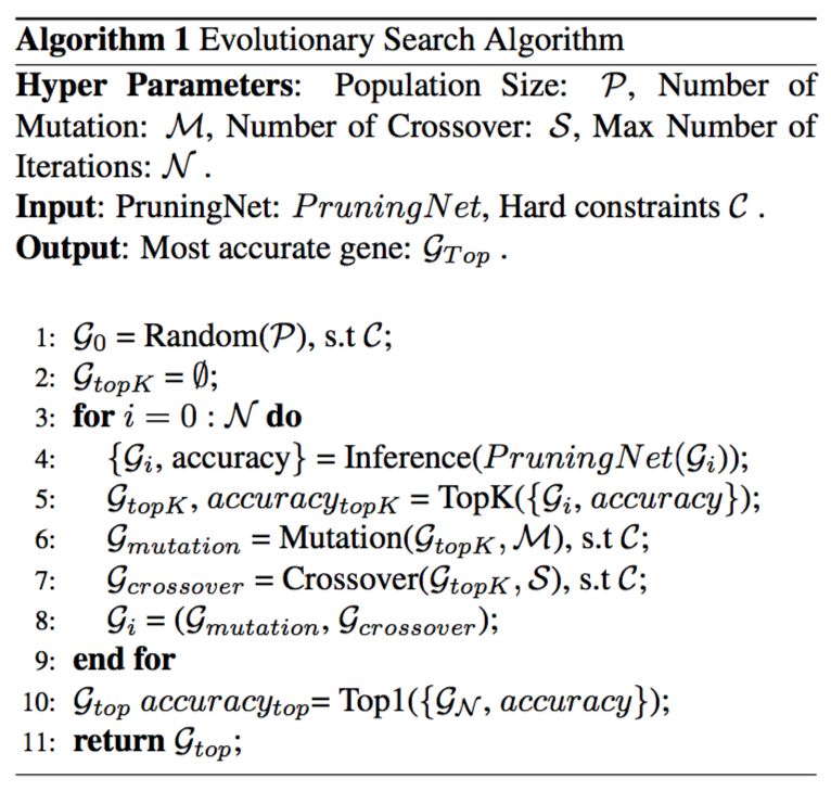 pruned-network search