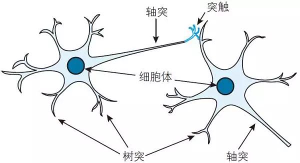 干货!神经网络原来是这样和数学挂钩的 专知