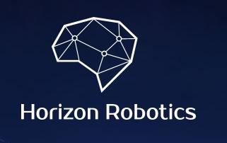 Horizon Robotics