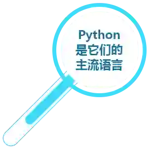 Python 程序员
