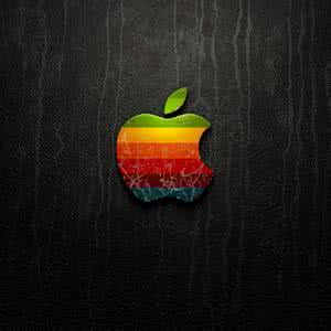 Apple University