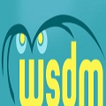 WSDM