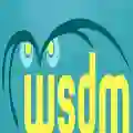 WSDM