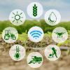 AI与农业