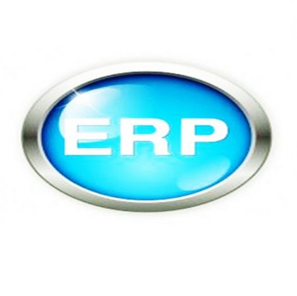 ERP 顾问