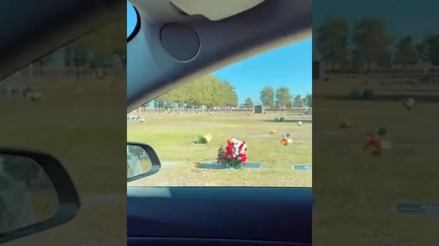 大白天撞鬼特斯拉在无人墓地感应到行人传感器真能测鬼