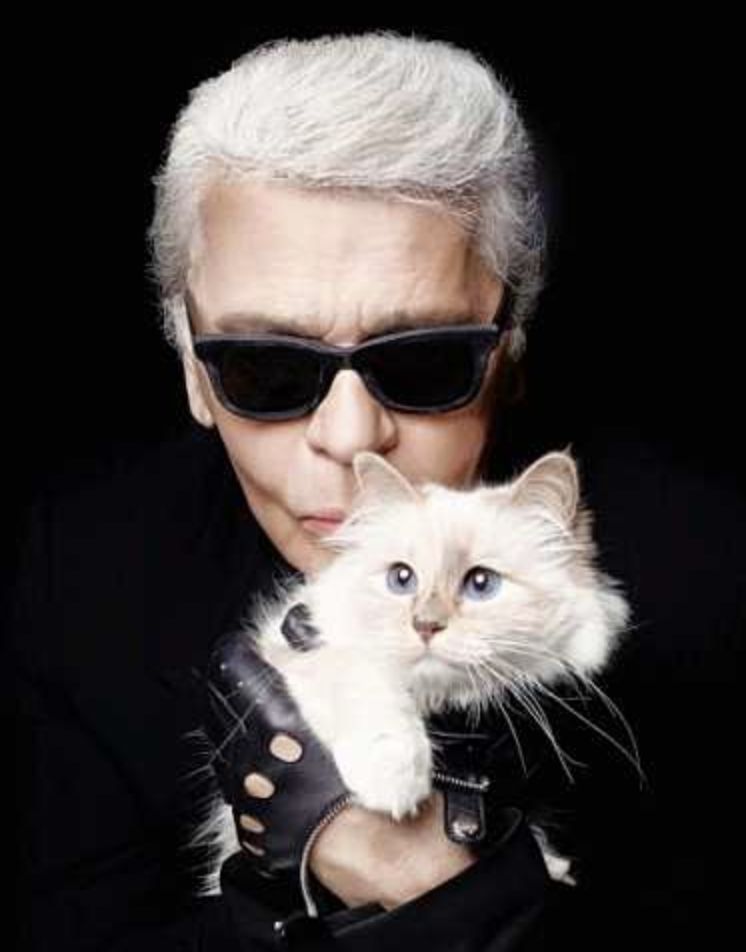 香奈儿老佛爷去世他一年挣300万欧元的猫怎么办唠氪儿