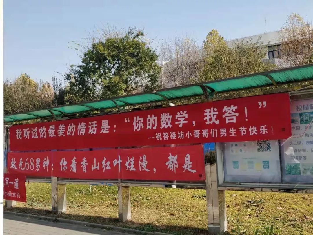 清华式浪漫男生节横幅来袭