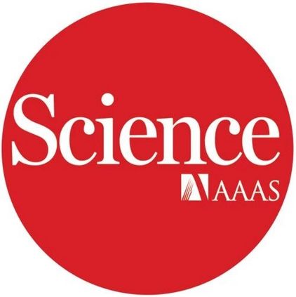 science新冠低质量论文泛滥科研人员不该趁疫情危机丢掉道德使命