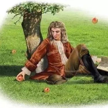 砸过牛顿的苹果树居然还活着而且还跑到中国来了