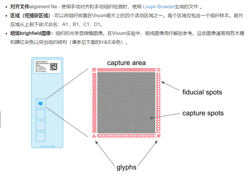 000javascript·javascript 引擎·代码·标识符·命名实体识别·1 月