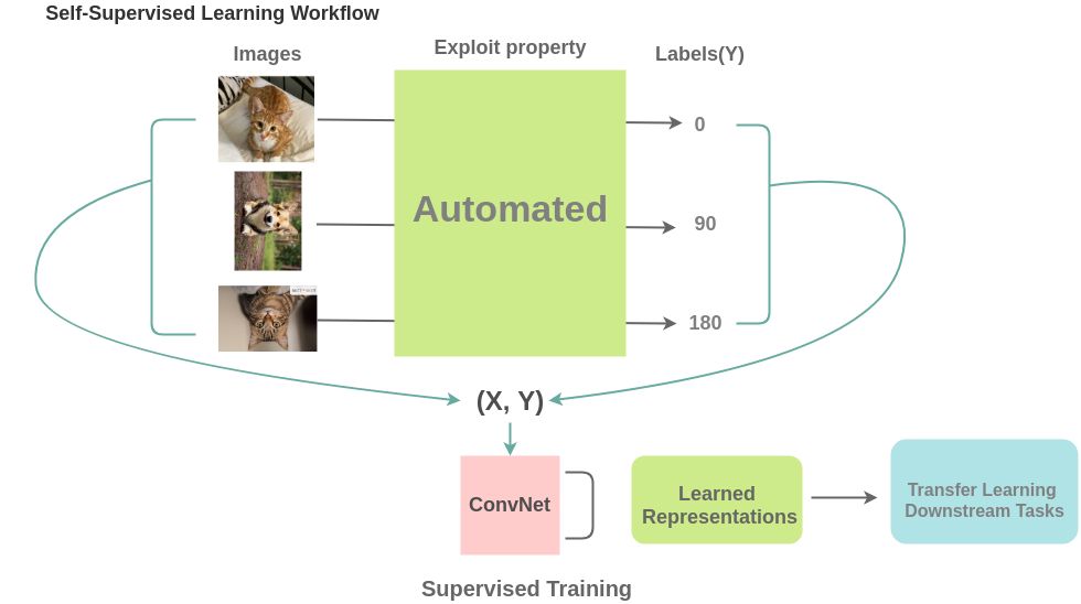 100 篇 自监督学习 Self Supervised Learning 论文最新合集 专知