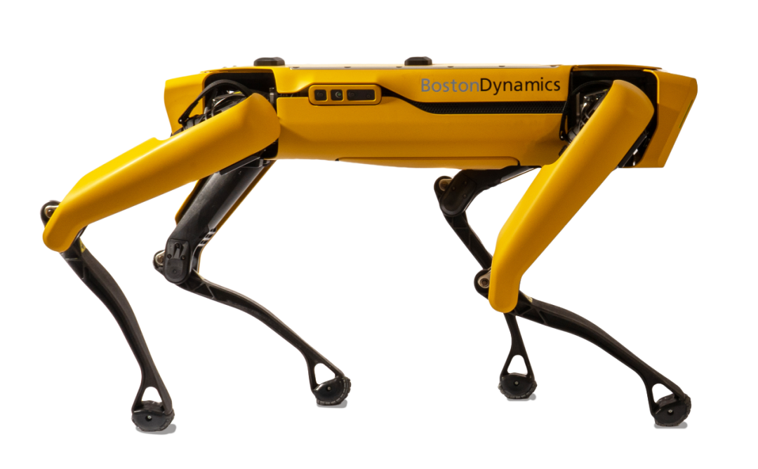 波士顿动力机器狗首个开箱视频53万我买到了啥