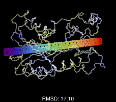 细胞和组织的外观结构;构建那些维持生命化学反应的催化酶;成为分子的