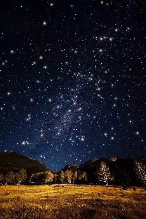 夜空中最闪亮的星照片图片