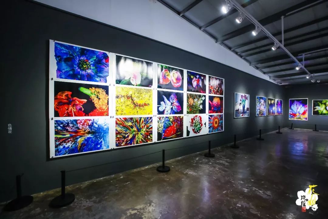 荒木经惟全球最大规模花主题摄影回顾展亮相798活动推荐