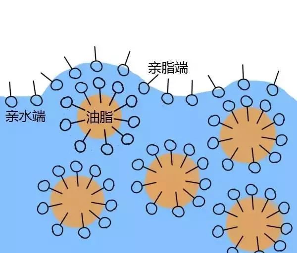 而同时,洗掉头发上的油污靠的也是这些表面活性剂.