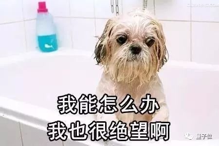 年轻人ai不想给你加薪升职
