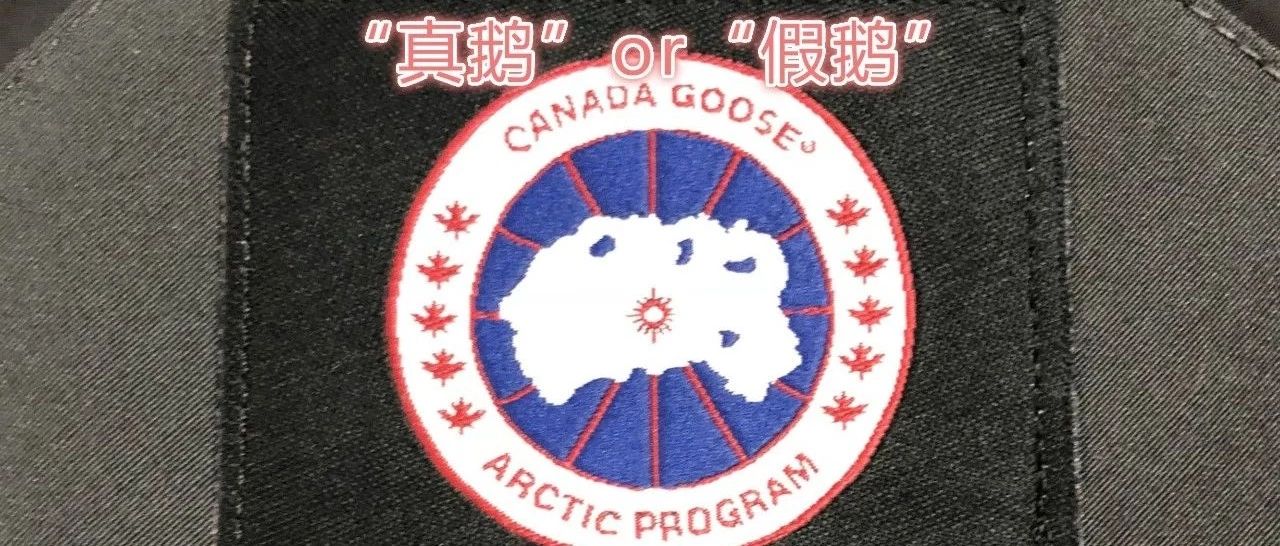 加拿大鹅标志是啥__加拿大鹅标是什么意思