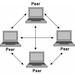 对等网络（P2P）