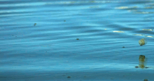 较真研究打水漂的技术从此不再打水漂