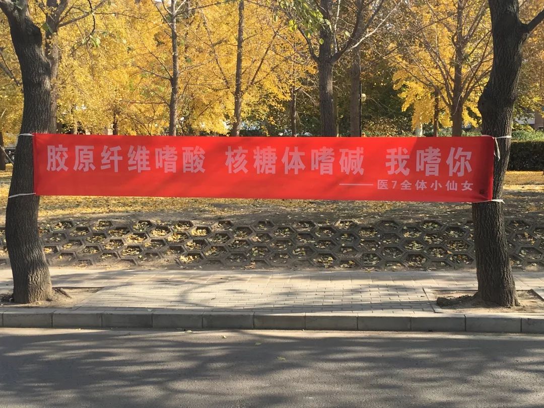 清华式浪漫男生节横幅来袭