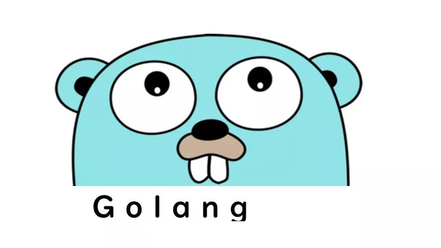 go语言2017年终总结