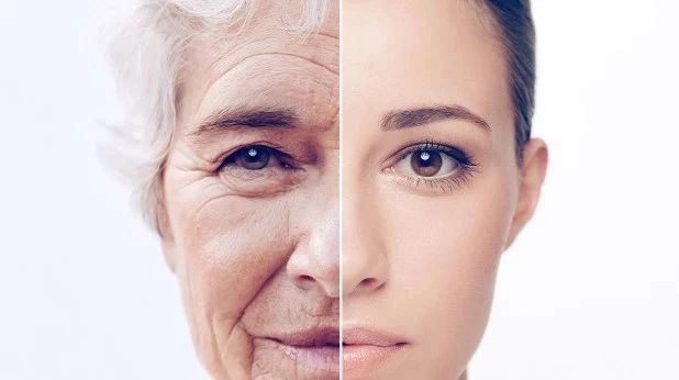 科学家又有抗衰老新思路消灭会传染衰老的老龄细胞