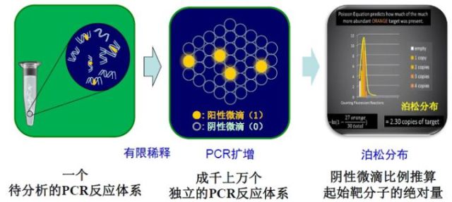 剖析|你想要知道的數字pcr應用及前景 - 專知