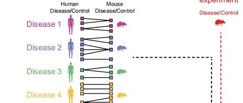 Nature Method|FIT模型从老鼠数据预测人类疾病基因