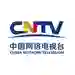 CNTV
