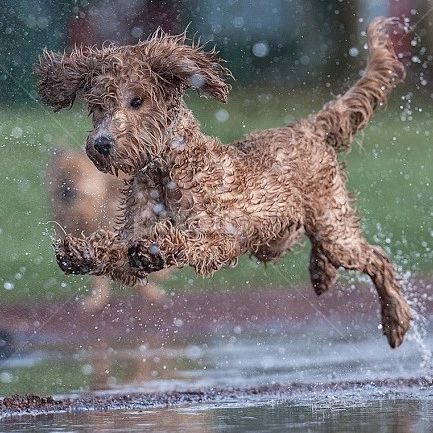 下雨天没带伞,如何避免淋成狗?