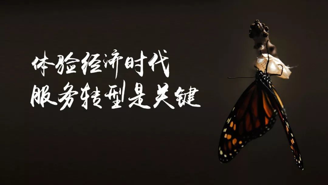 战略陈春花体验经济驱动企业服务转型