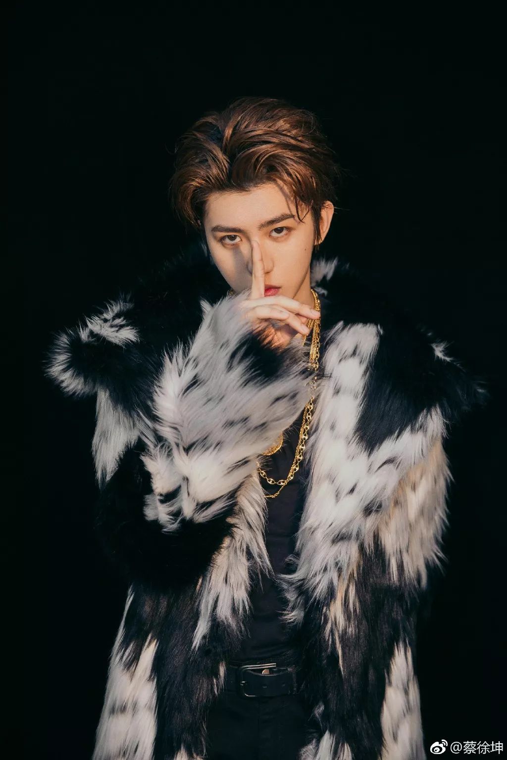 蔡徐坤:偶像的自觉 - 专知