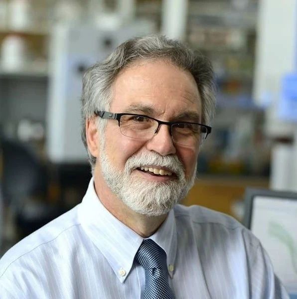 诺奖得主涉嫌学术不端30余篇论文被指涉嫌p图造假复