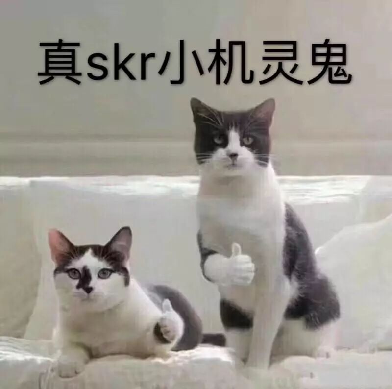 「真是个小机灵鬼」「我劝你要适可而止」「葫芦娃四哥」以及广大网友