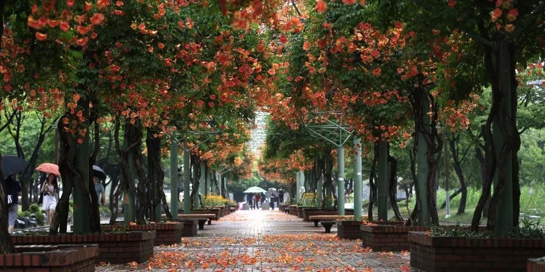 韩国富川市 —— 一个对所有人友好的城市