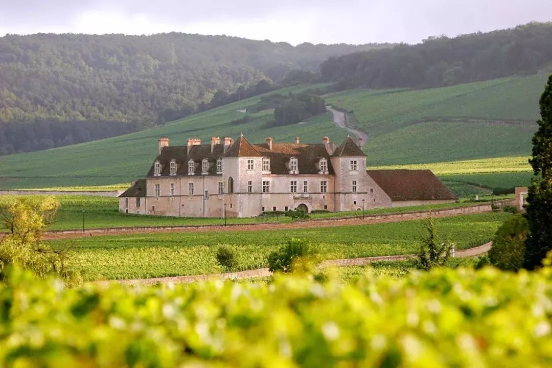 在法国境内,几乎没有一个独立葡萄酒产区像勃艮第一样,拥有酿造顶级